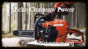 Echo Chainsaw Power