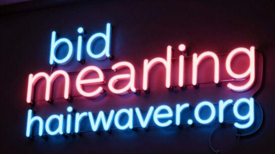 bid meaning